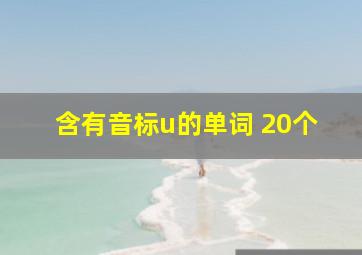 含有音标u的单词 20个